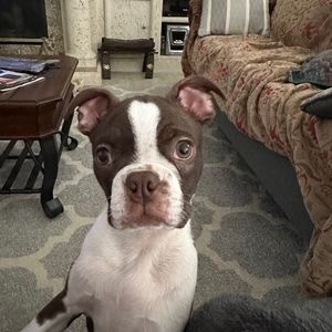 Meet your Posher, Candyce